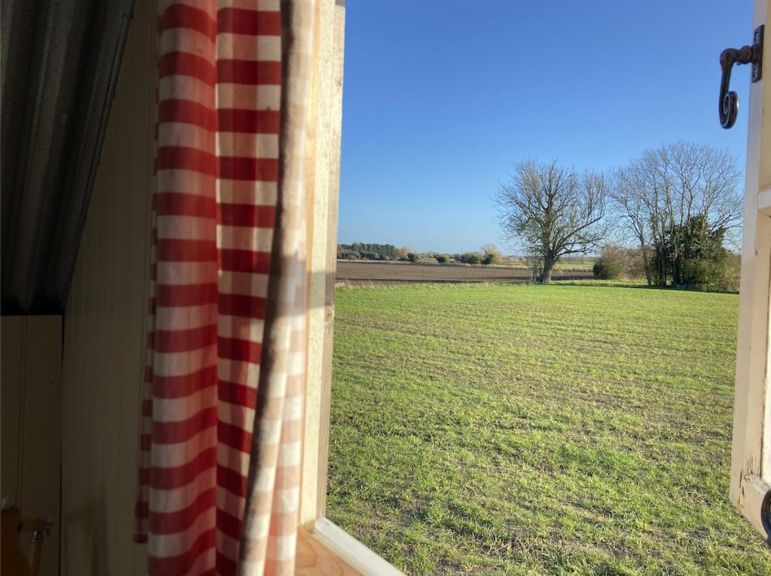 Fen Meadows Glamping - Luxury Cabins And Bell Tents Κέμπριτζ Εξωτερικό φωτογραφία